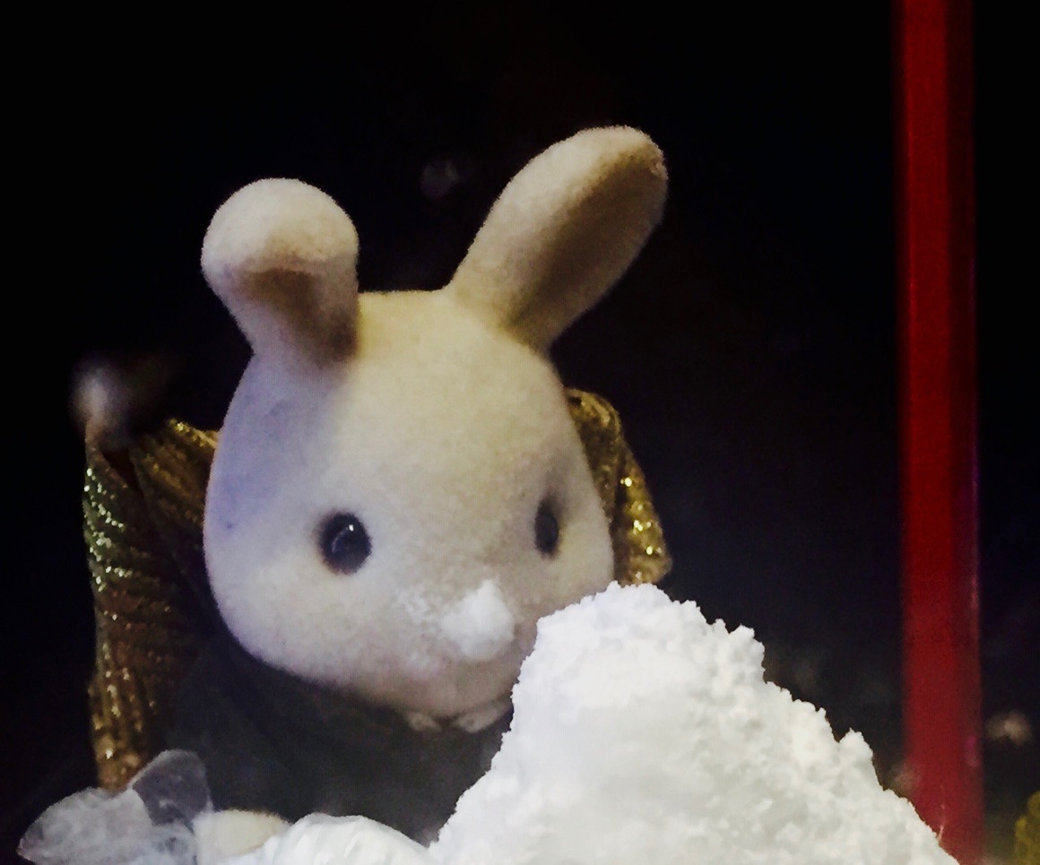 princeofwindow's tweet photo. His nose never quite recovered from his stint as psychoganster in 'Nothing Exceeds Like Excess" and it was all the powers behind the throne at #windowtheatre could do to keep him on his feet most of the time but I loved him like a friend #thebars #thegirls #thecarrots https://t.co/hsUcruBK2H
