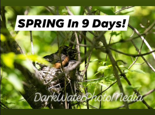 DarkWaterPhotos's tweet photo. Just a few more days! W00t! Exciting! #ToBirdParty #BirdWatching #Twitchers #UrbanBirding #YYZ #TorontoLife #TORavines #urbanforest #Nature #wildlife #Flowers #Insects #TOFieldNaturalists #Toronto #Ontario #wildlife  #Photography #DeafInRealLife #Deaf
https://t.co/R5PMOspsUo https://t.co/d1w6Oi87d5