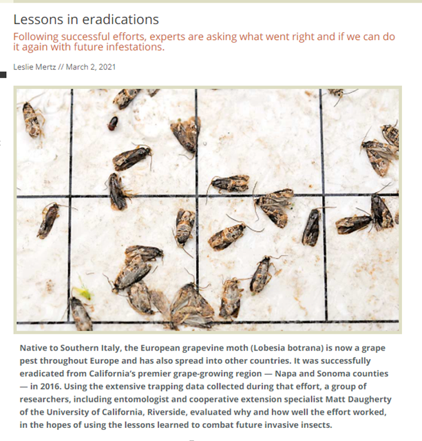 GrapeResearch's tweet photo. What do #Europeangrapevinemoth and #orientalfruitfly have in common? They're #invasivepests that were eradicated. Invasive-species experts are mining these examples for lessons in #eradication. #egvm #graperesearch @goodfruitgrower https://t.co/E1cSlXQHk7 https://t.co/GthRE5vtG4
