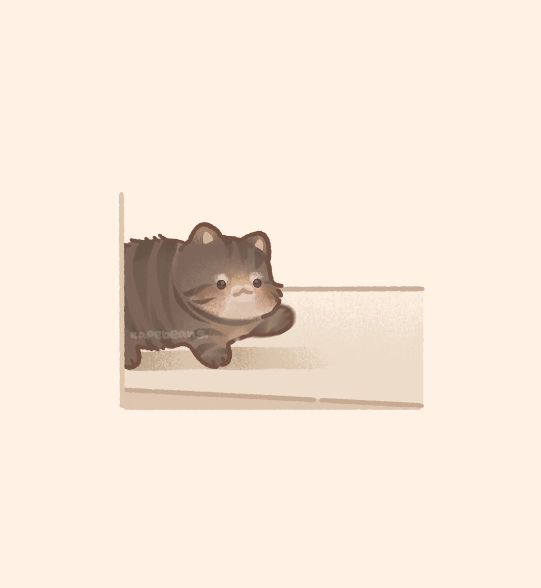 kapebeansies's tweet photo. they have arrived https://t.co/j4xvEcpHxa
