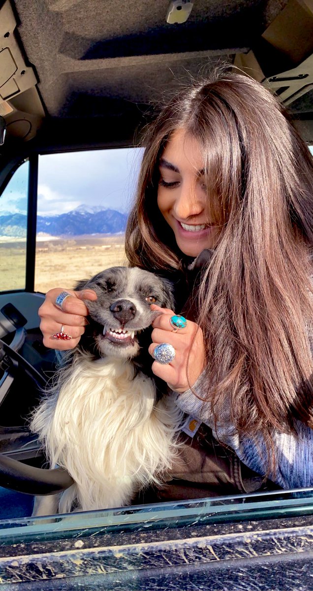 helllooo palz from your cow horse brat &amp; naughty cow pup ⚡️🖤