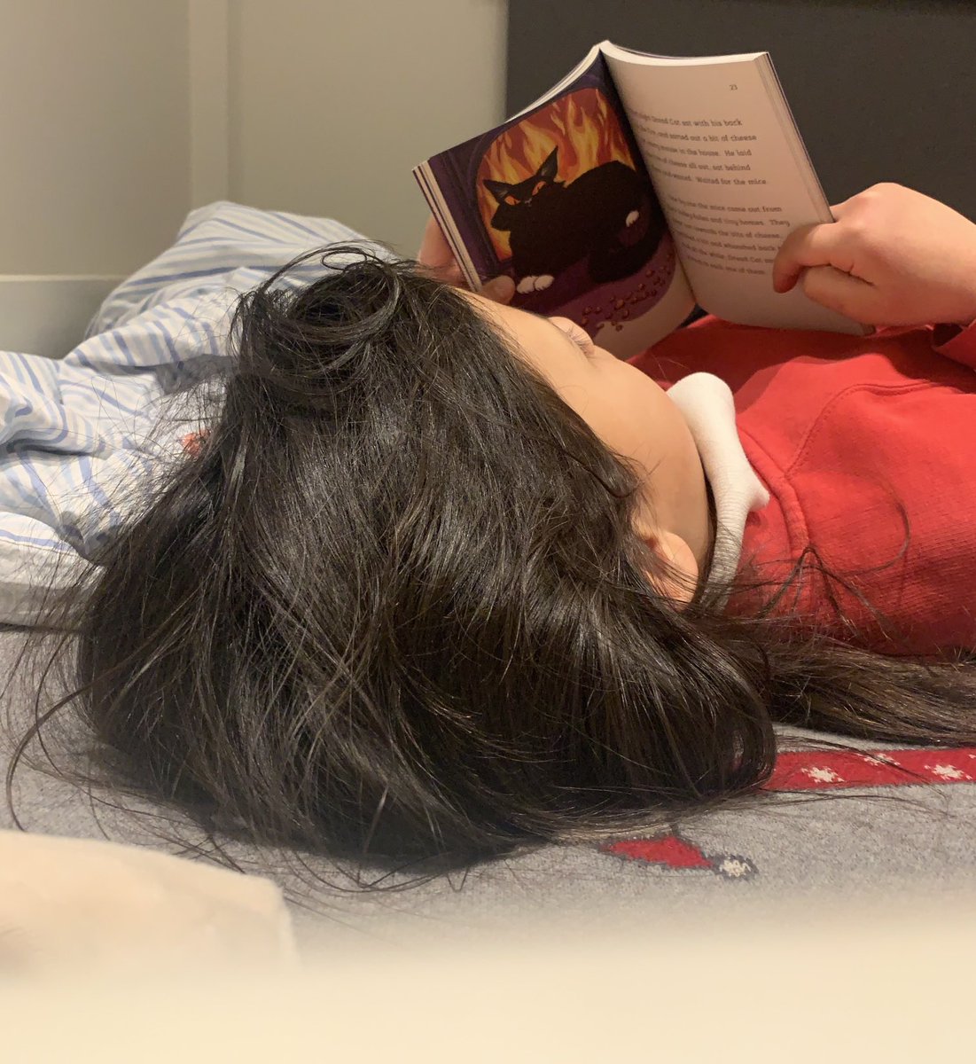 Just caught my reluctant reader in bed, enjoying a book by herself! Thank you ⁦<a href="/BarringtonStoke/">Barrington Stoke</a>⁩ for those wonderful books, ⁦<a href="/MichaelRosenYes/">Michael Rosen 💙💙🎓🎓 NICE 爷爷</a>⁩ for Dread Cat, and ⁦<a href="/AndyStanton15/">Andy Stanton</a>⁩ for introducing us to this publisher in your reading of  Matthew Buzzington
