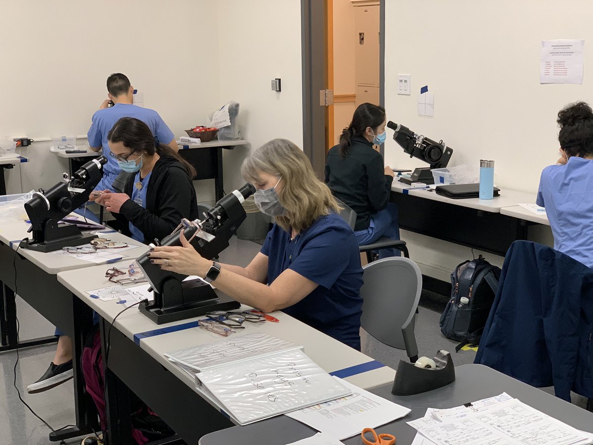 mytinycuties's tweet image. Optometry school......socially distant edition™️ sporting our Berkeley scrubs! #CalBigGive #BerkeleyOptometry