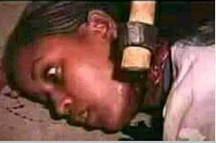 Don't kill your brother or sister. Oromo are all Ethiopians. Rest