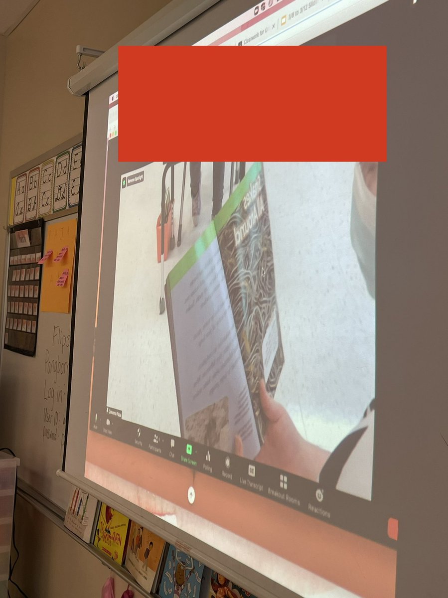 Miss Papa tweet media