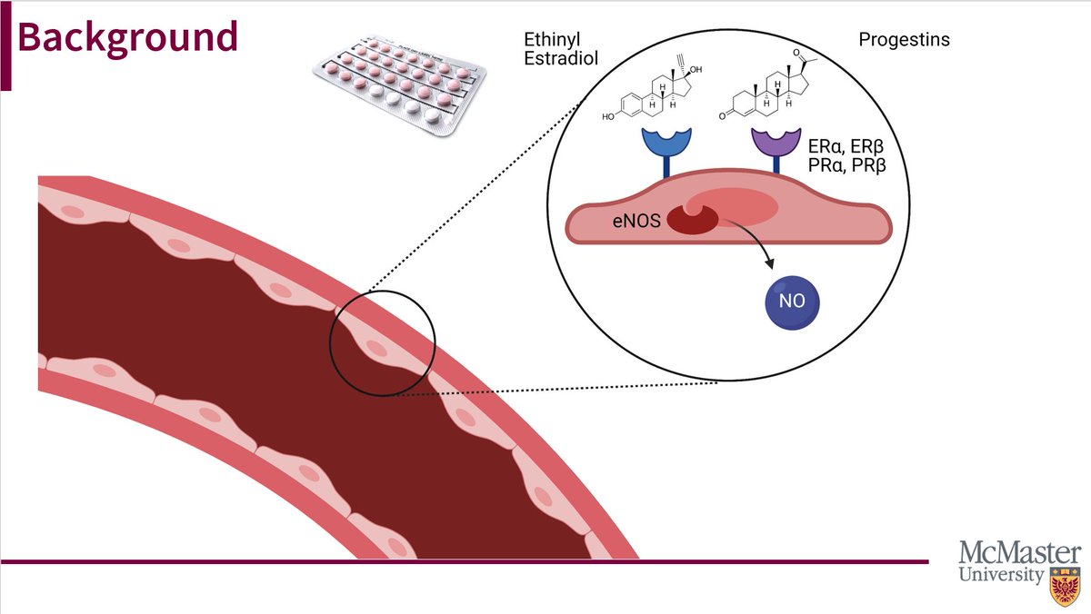 jennyswilliams's tweet photo. Attended the Women's Health Research Cluster (@ResearchonWH) #traineeblitz, presenting on some early work looking at the influence of contraceptive hormones on the endothelial nitric oxide pathway. Such a supportive and collaborative group! https://t.co/3sUttt6D2O