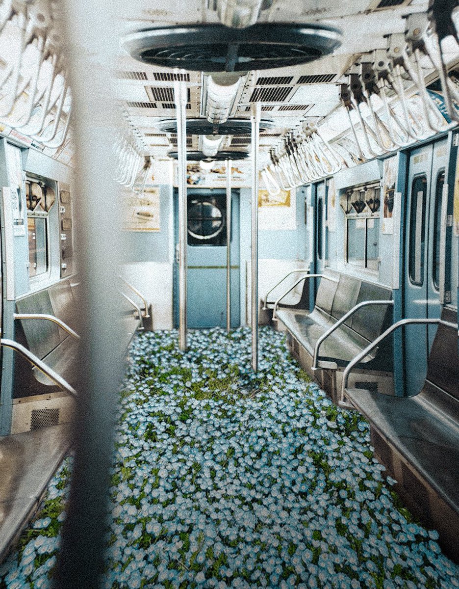 brunourIi's tweet image. Hi, I am Bruno and I'm a 16 year old digital artist. 
Stoked to be on Twitter now! 🕊