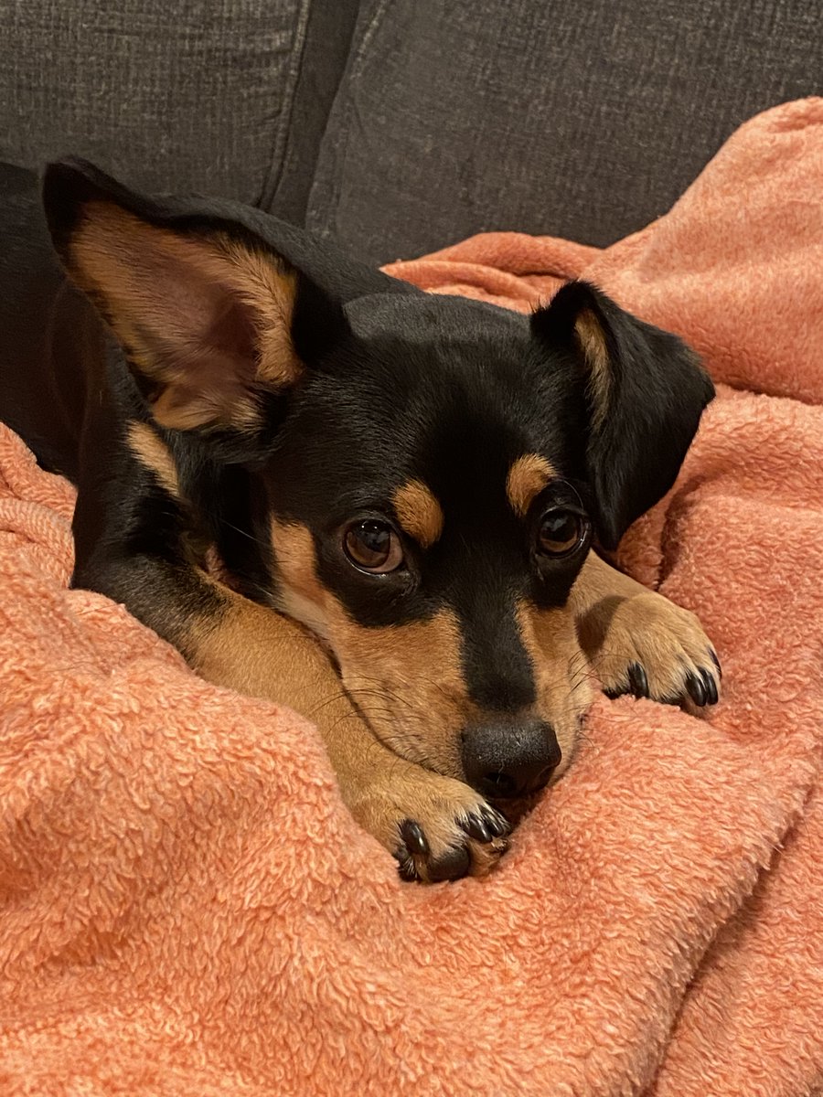 Ashley Marie tweet media