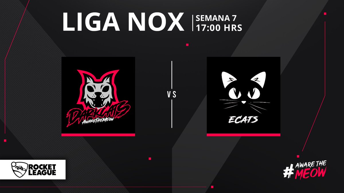 DarkCats. tweet media