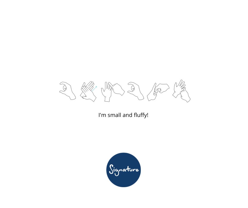 Signature tweet media