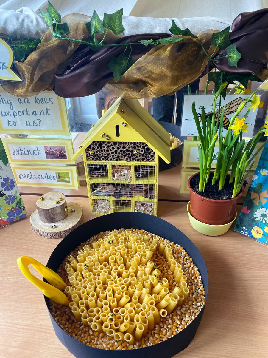 We have been buzzing to be back together this week exploring all of the exciting changes in our classroom and sharing all of the interesting facts we have discovered about endangered animals and bees whilst learning at home 🐝💛