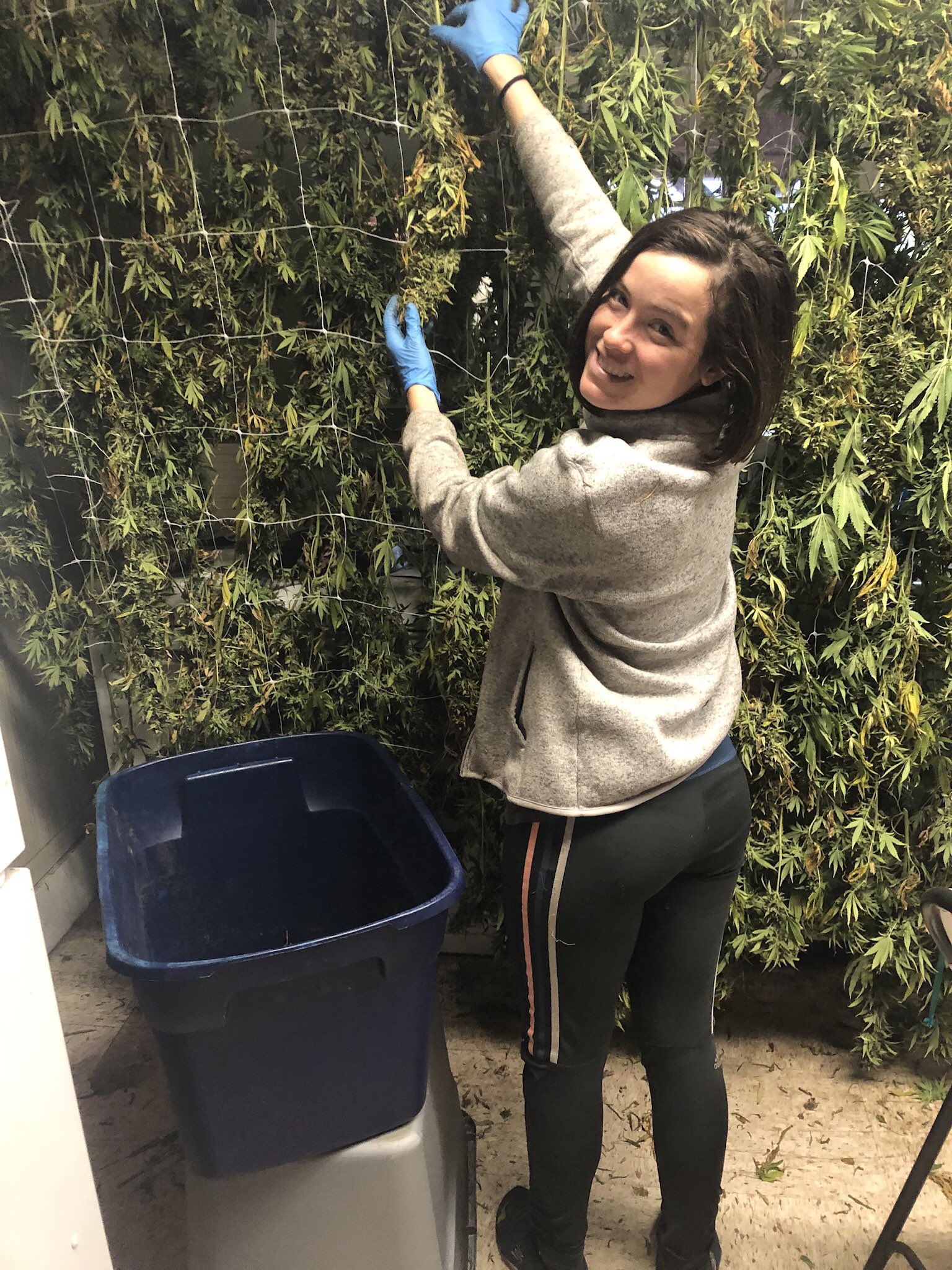 Naomi Wildman on Twitter "This vegan shit is easy. Plant, harvest