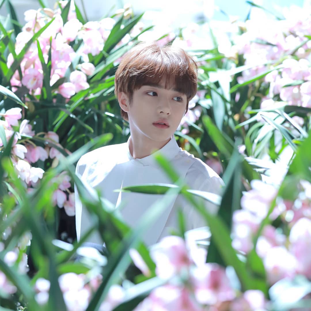 ThXTeam_twt's tweet photo. The 𝗻𝗲𝘄 boy banda of 𝟮𝟬𝟮𝟭
What do you 𝘀𝗲𝗲?
𝗤𝘂𝗲𝘀𝘁𝗶𝗼𝗻𝗶𝗻𝗴 film
(ノ◕ヮ◕)ノ*.✧ KOJI
GROUP BY @LunaryEnt
#THxTM #COMINGSOON
#KOJI #4thMEMBER https://t.co/Wi7PxyAidb