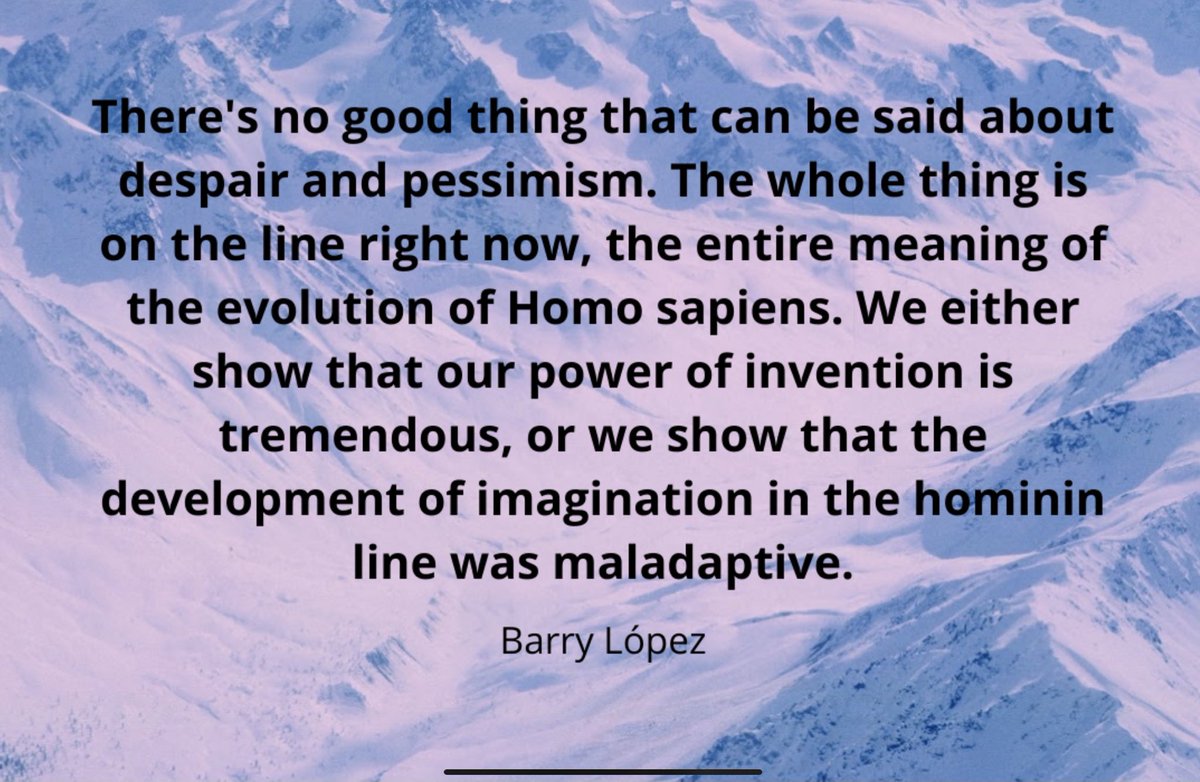 Paul Polman (@paulpolman) on Twitter photo 