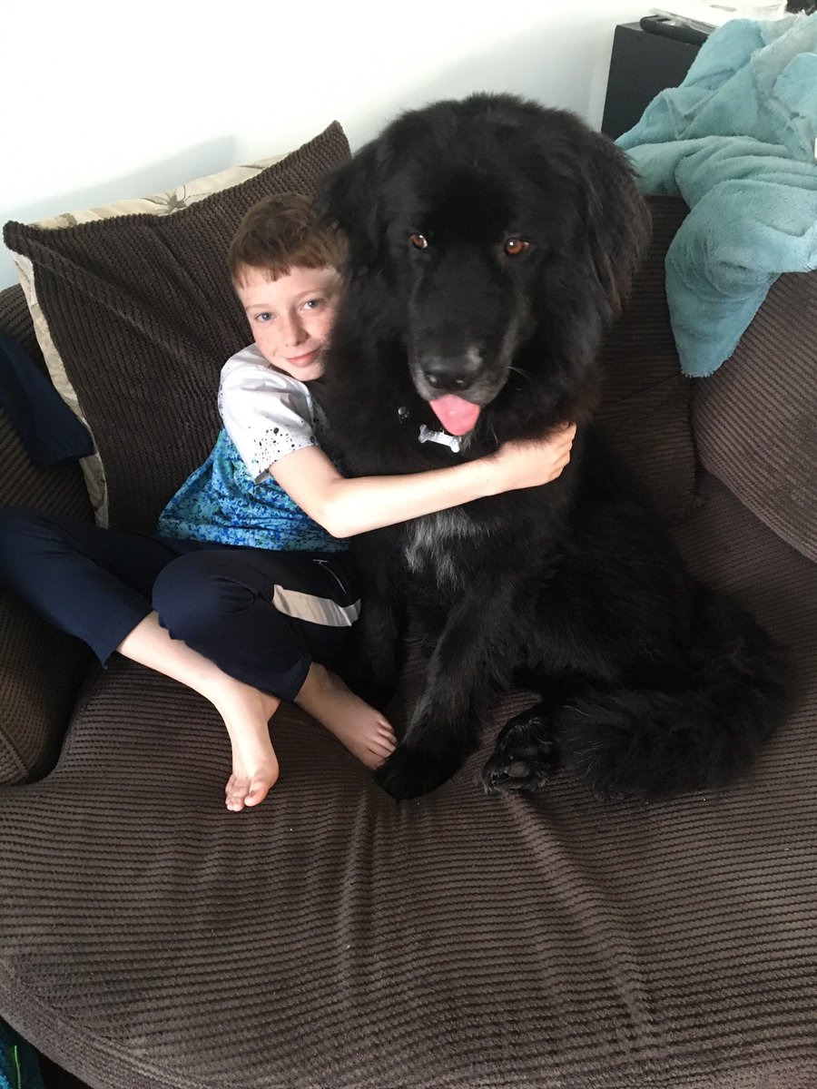 Tula393's tweet photo. @VicTheMac He loves his big bear 🥰 https://t.co/6bePbt3dZD