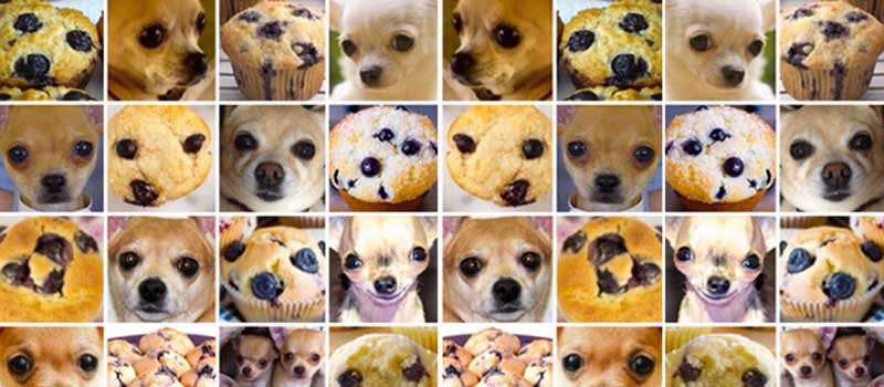 “recommend clinical correlation” look, if it’s angry and barks it’s probably a chihuahua. if not, consider that it could be a muffin. that’s all we’re trying to say