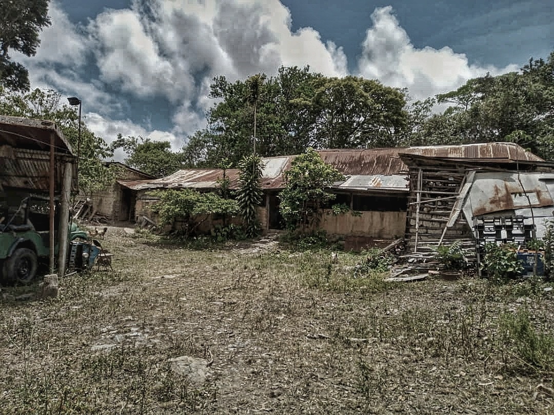 Cuanta generación mas puede darle albergo esta casa?