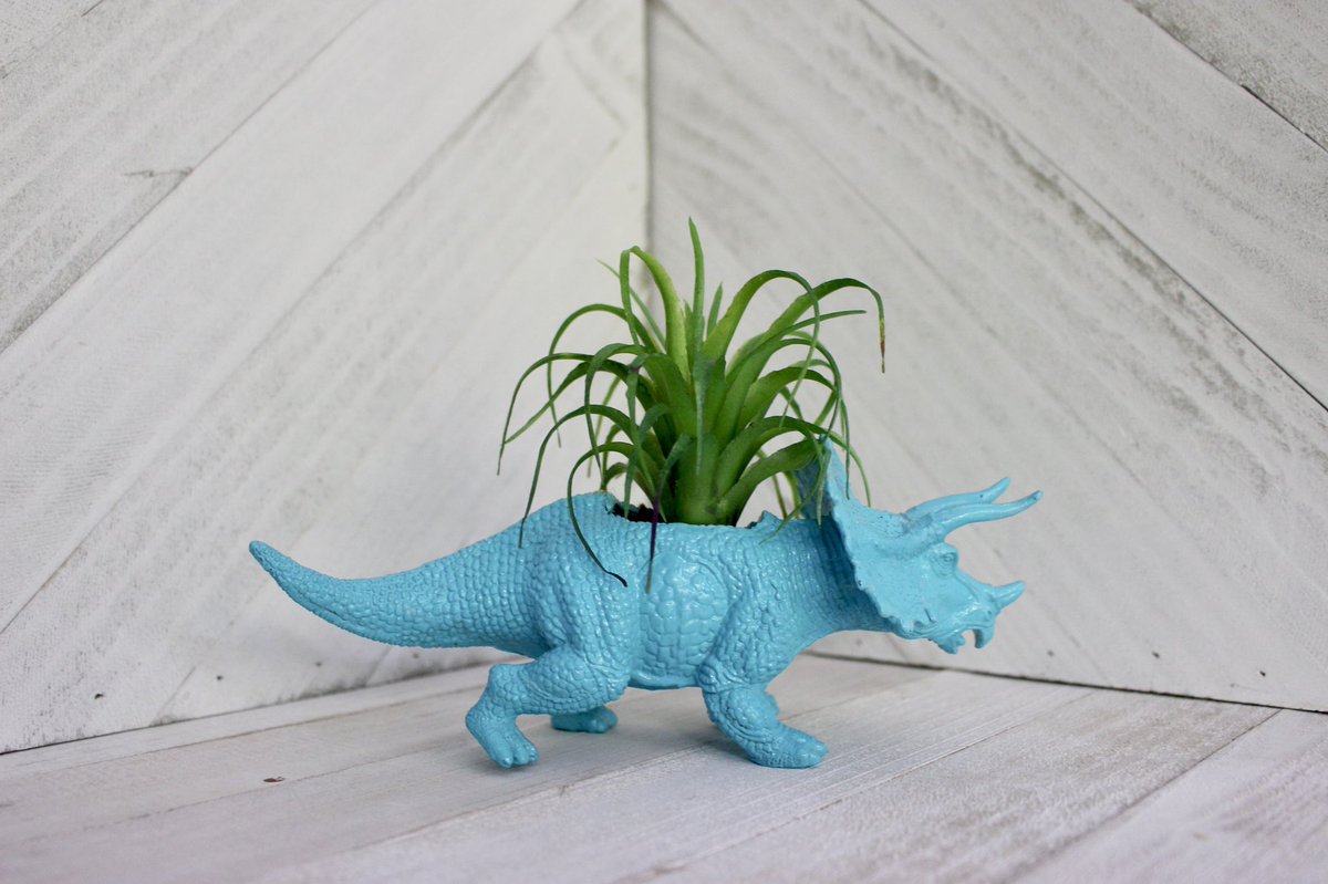 RepurposedT's tweet image. I love my Dino creations!!! On my shop now!  etsy.com/shop/Repurpose…. #dino #planter #succulent #rawr #etsy #shop #homedecor #repurposed #upcycled #cute #officedecor #deskplant