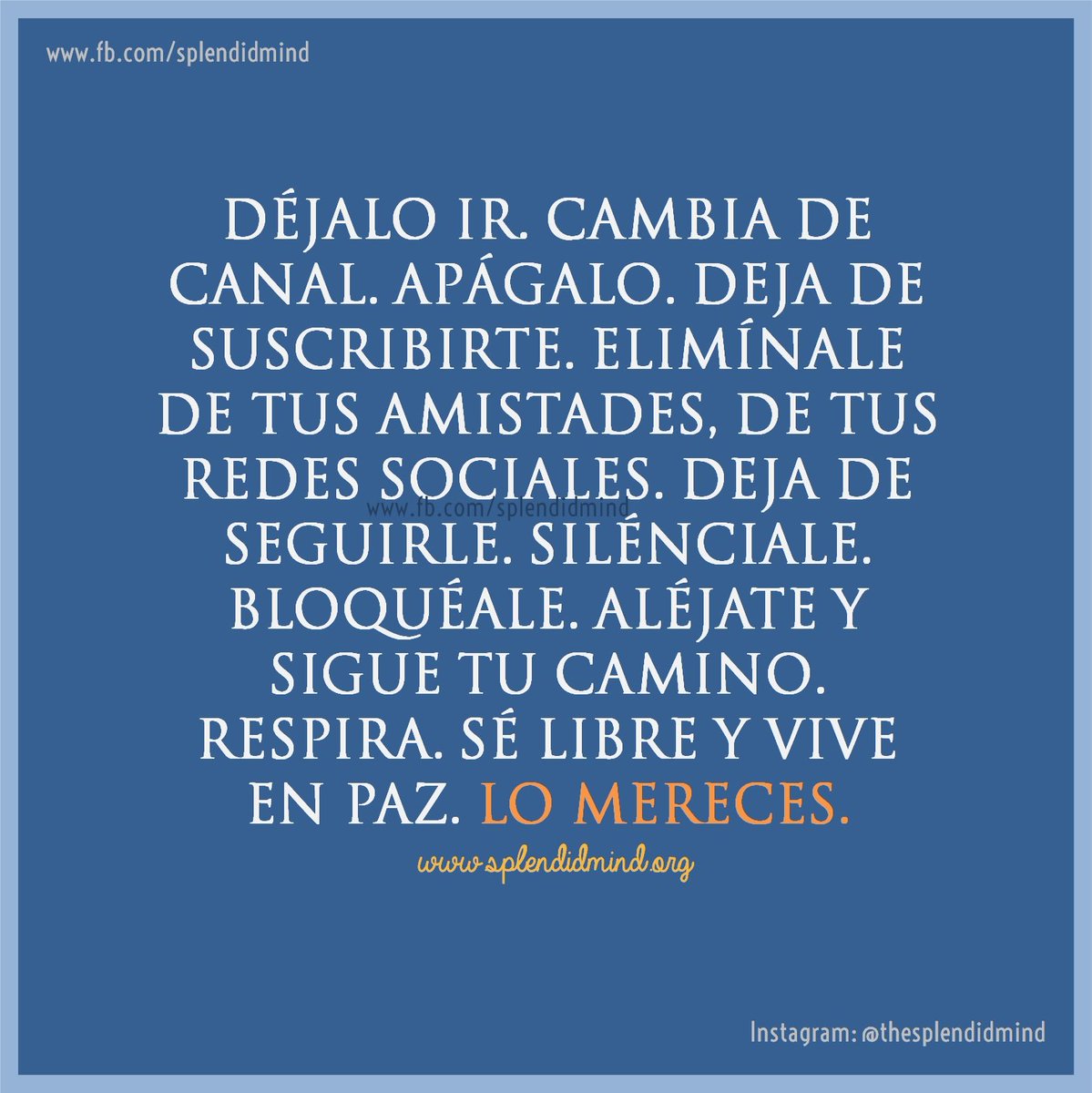 SplendidMind tweet media