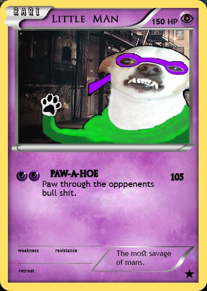ShaMgaRbage's tweet photo. Sometimes in life you have to play the right card. #Twitch #Pokemon #Dogs https://t.co/7pBvIMvogC