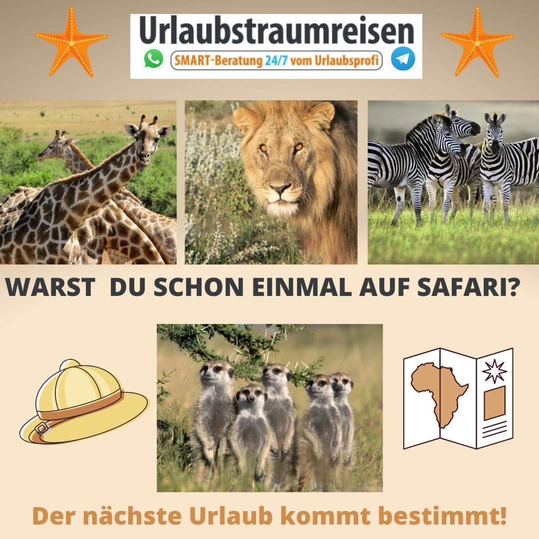 Warst Du schon einmal auf Safari?
Der nächste Urlaub kommt bestimmt!
z.B. Namibia: Mit Flair für 2022
z.B. 27.03.2022 ab/bis Frankfurt 2 Wochen 2 Erw gesamt 6998,-€*
*Vorbehaltlich Preisänderungen und Verfügbarkeiten, Irrtümer u Schreibfehler. #travel #holidays #safari 
#Reisen