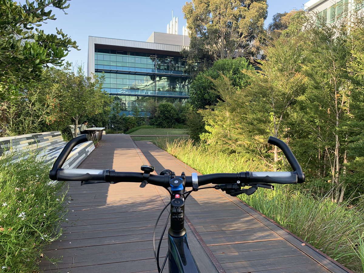Somewhere out there it’s stil #WorldKidneyDay ! A thrill to join friends and colleagues worldwide to #sockittokidneydisease with a glorious late summer ride in to <a href="/MonashBDI/">Monash Biomedicine Discovery Institute</a>, acknowledging the 850 million (!) pax w/ kidney disease #850challenge