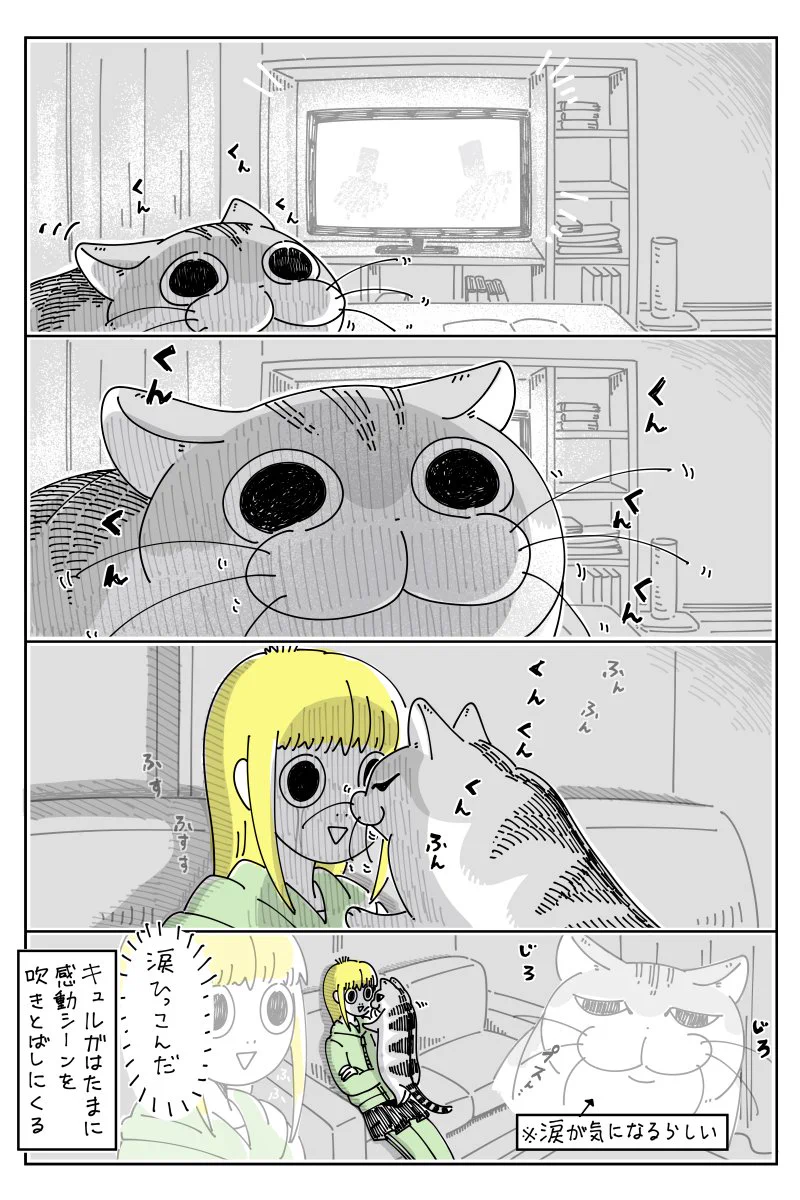 せっかくの感動シーンがwww映画を観て涙を流しているところへ猫が近寄って来て･･･www