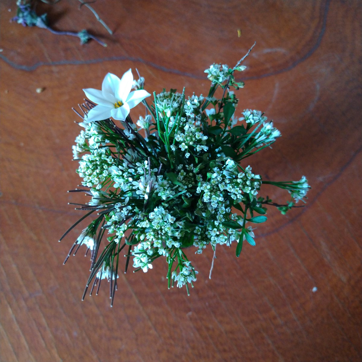 季節屋 なずなと他の白い花少し加えて 小さい白い花束