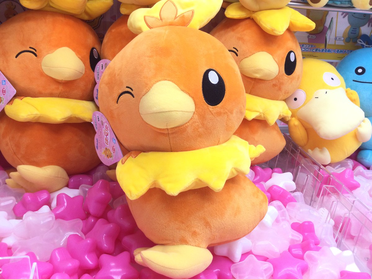 セガ勿来 新景品情報 ポケットモンスター ほぺぴた めちゃでかアチャモぬいぐるみ ポケットモンスター でっかいコロっとまんまるぬいぐるみ ドわすれ コダック ウパー ゴンベ 入荷しました