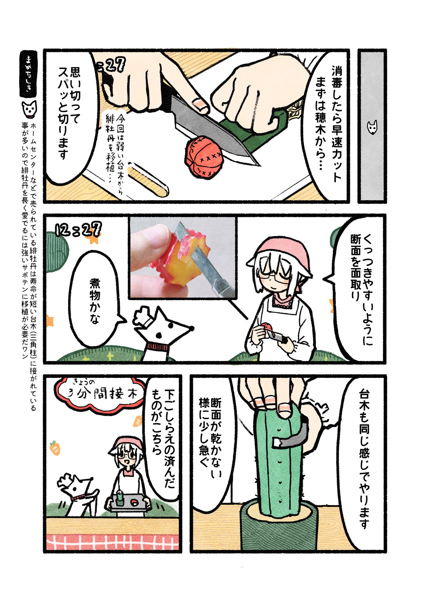 つのさめ Tsunosame 接木サボテン推進漫画実践編です 1 3 サボテン 多肉植物 T Co Eumgqjzq6n Twitter