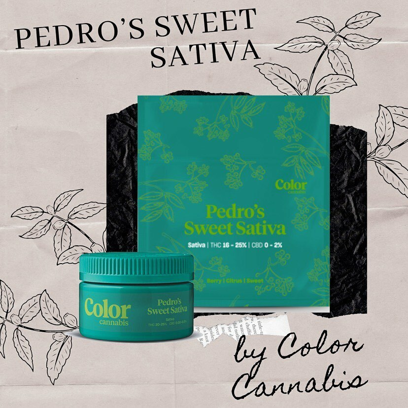 Pedro’s Sweet Sativa by <a href="/color_cannabis/">CallItColor</a> is a proudly Canadian sativa-dominant hybrid with fluffy, trichome covered buds. Rich in terpenes like beta-caryophyllene and pinene, Pedro’s Sweet Sativa smells sweet with undertones of spice. 🌿

We highly rec… instagr.am/p/CMTYF3JswsI/