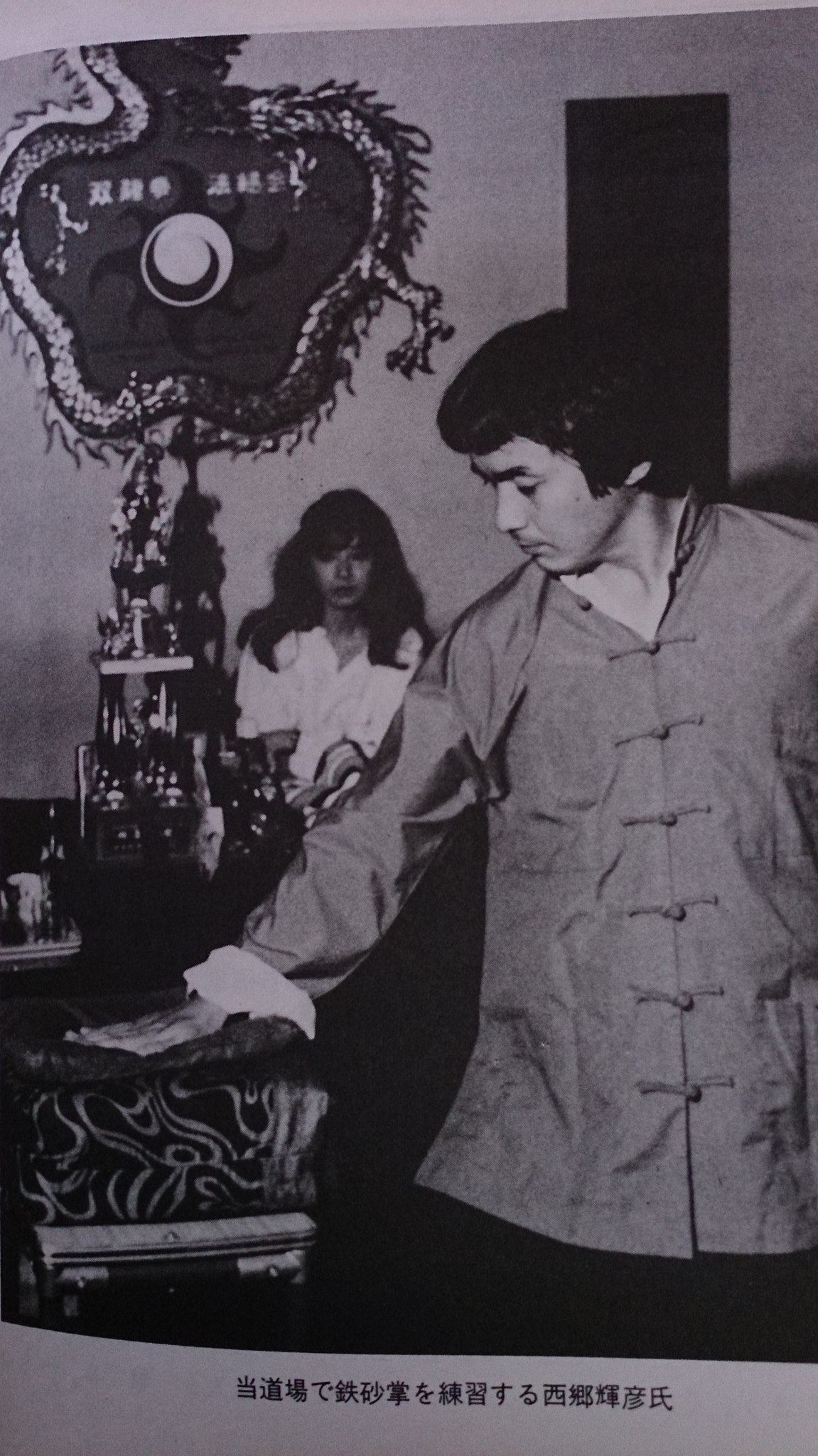 鉄布衫功　気功　鉄砂掌　中国武術 鉄砂掌 iron palm 鍛えた掌や腕で相手に叩き込む! 外功・外練