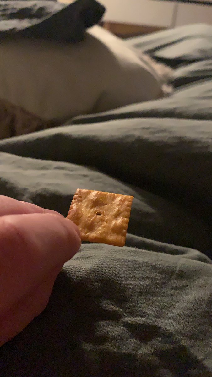 infinityash96's tweet photo. @cheezit why is my entire box of cheezits only puffed on one side of the cracker?? :( https://t.co/aroZGJDssX