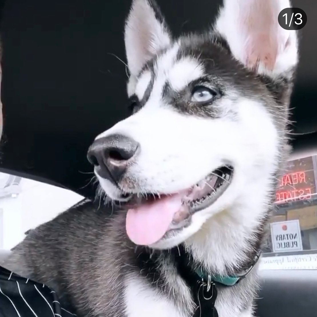 Flex Props tweet media