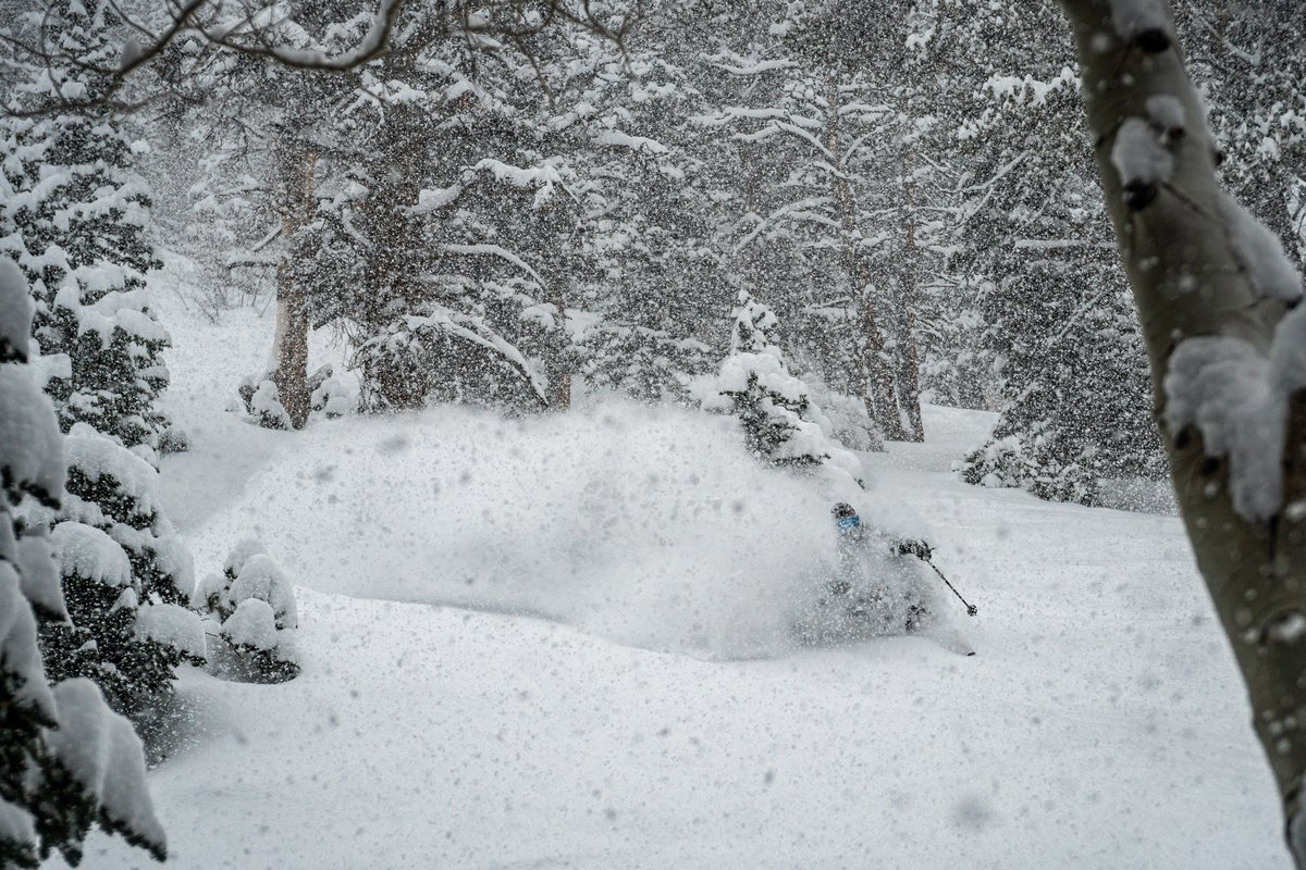 SolitudeMTN's tweet photo. Fool's spring is over. Winter 2.0 is here 😎

⛷️: Pat Spence
📸: Brendan Ladd https://t.co/kbBbt2CM3e