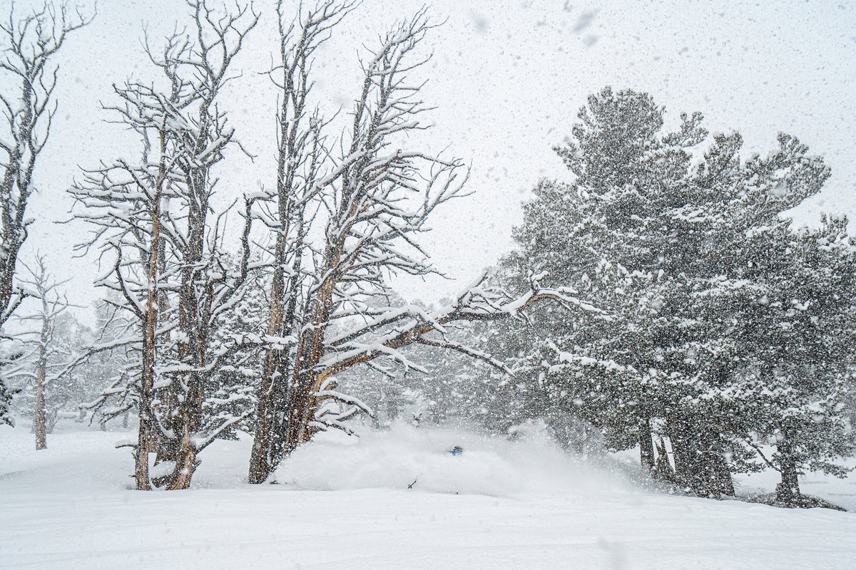 SolitudeMTN's tweet photo. Fool's spring is over. Winter 2.0 is here 😎

⛷️: Pat Spence
📸: Brendan Ladd https://t.co/kbBbt2CM3e