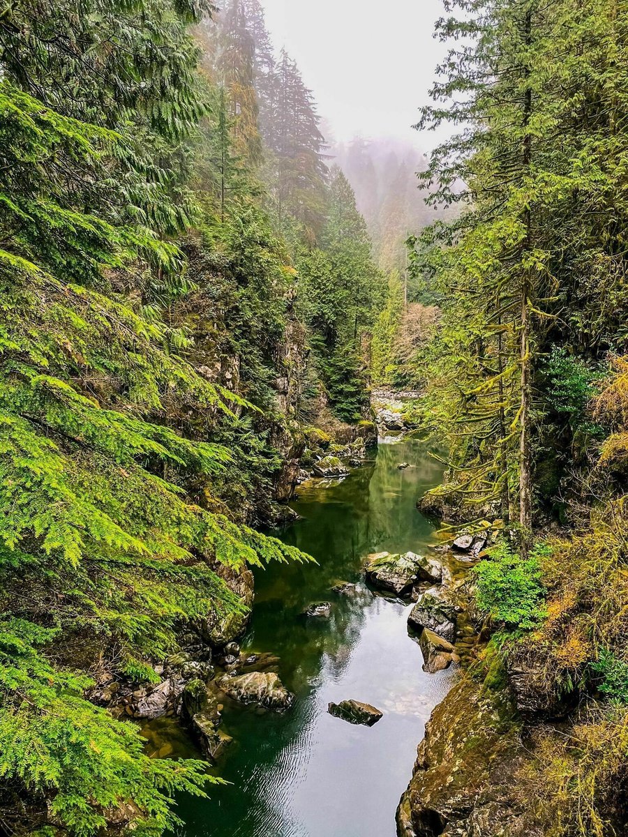 Already done with the week? Take a walk along the 7.9 km Capilano Pacific Trail and Coho Loop.
⁠
Enjoy the stunning lake and river views. Or pack up your fishing gear and do some midweek fishing 🎣⁠

🥾This trail is located in beautiful North Vancouver and is a fairly popular