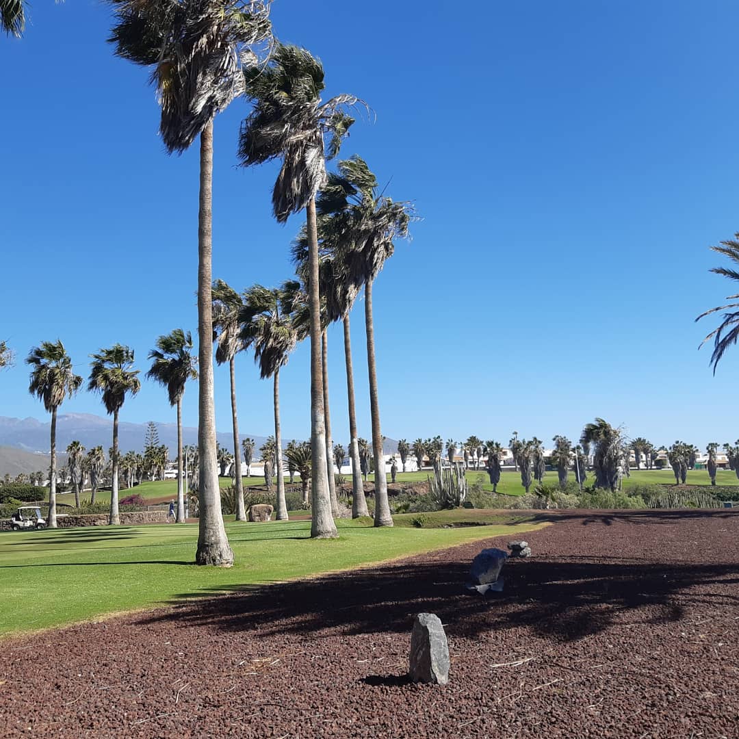 #RoyalTenerifeCountryClub #GolfdelSur #Tenerife #EligeTenerife #Volveremos #WeWillBeBack #DiamondResorts #Golf @Rtccsvc_luisa @DeliaHe34898005 @RtcOscar