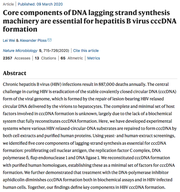 The new research on hepatitis B virus online today is a sequel following this research from 2020 <a href="/plosslab/">Alexander Ploss</a>, <a href="/princetonmolbio/">Princeton MolBio</a>
nature.com/articles/s4156…