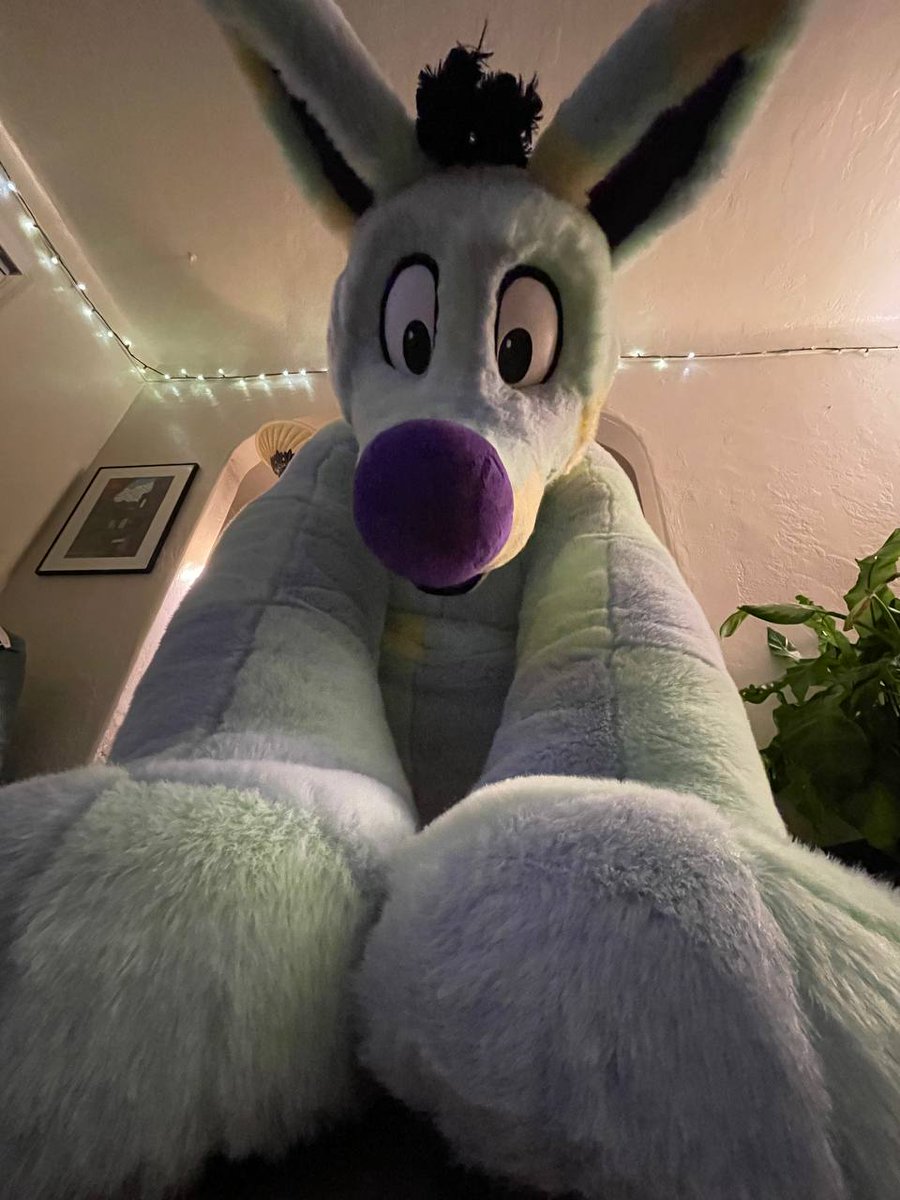 *spot - pounce - perch* Why hello! What are you doing down there?