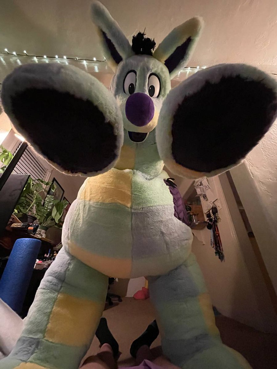 woozleplush's tweet photo. *spot - pounce - perch* Why hello! What are you doing down there? https://t.co/fD2E7JykxS