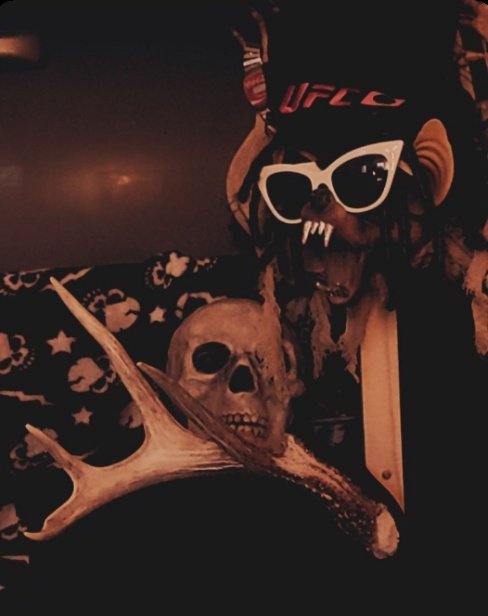 LunaThighs's tweet photo. Another addition to the backdrop
#AntlersOnFleek 🤘🦌🤘 https://t.co/11lImXRqbh