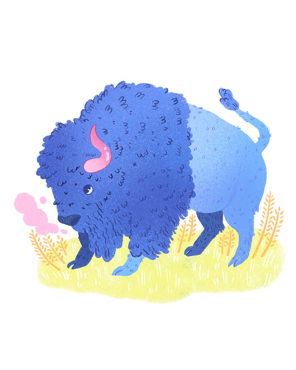A very sweet Buffalo inspired by a large herd that lives really close to my parent’s house✨🦬 #oklahoma #nativeamericanart #chickasaw #digitalillustration #artforkids #childrensillustration