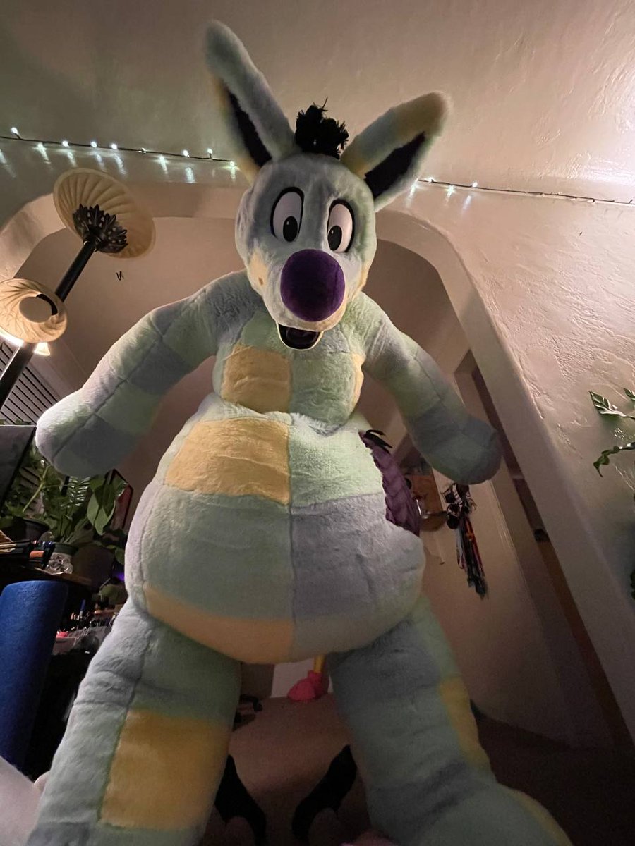 woozleplush's tweet photo. *spot - pounce - perch* Why hello! What are you doing down there? https://t.co/fD2E7JykxS