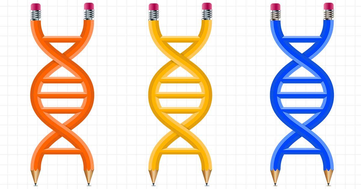 IEEE Spectrum (@ieeespectrum) on Twitter photo Imagine being able to design a new organism as easily as you can design a new integrated circuit. The #CAD program being developed by <a href="/GP_write/">Genome Project-Write</a> will eventually let you do just that. buff.ly/3l6VrmC Imagine being able to design a new organism as easily as you can design a new integrated circuit. The #CAD program being developed by <a href="/GP_write/">Genome Project-Write</a> will eventually let you do just that. buff.ly/3l6VrmC