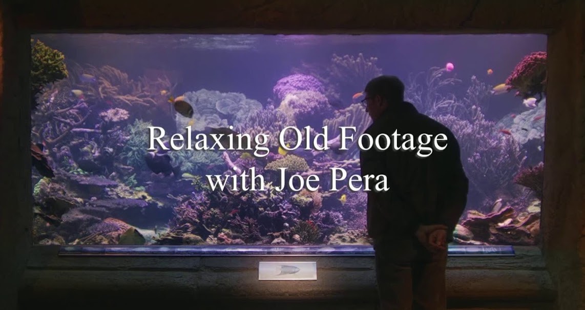 JosephPera's tweet image. This thing&apos;s now on @hbomax