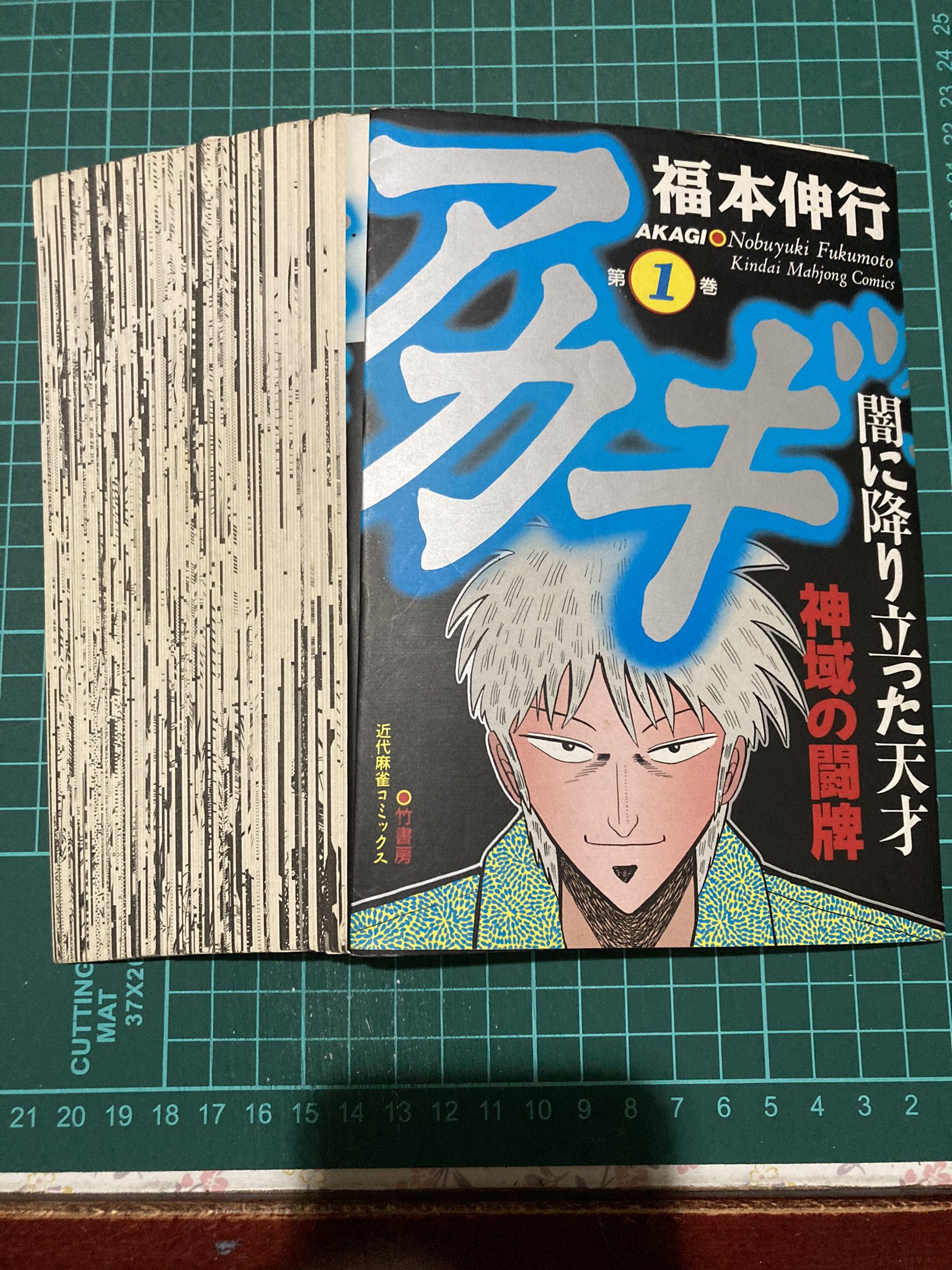 スカフリのベース 進撃の巨人 現33巻 1巻を立ち読みして即購入を決めた 5巻くらいから新刊で追いかけているけど ここまでの人気作になるとは思わなかった 次巻で遂に完結 T Co Qlrmjoupdw Twitter