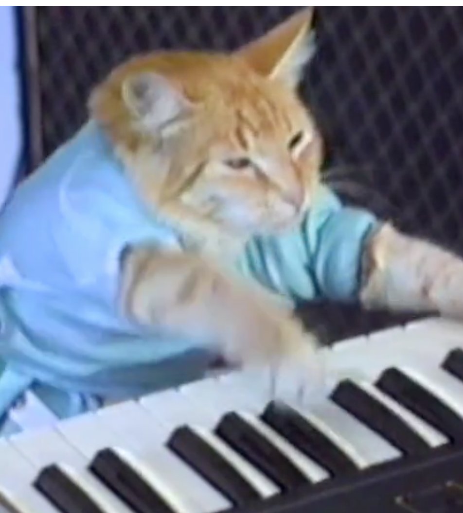 Foundation 🌐 tweet media