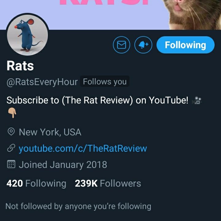 RatsEveryHour was on the nice list.
Rest in peace to our fallen brother.
