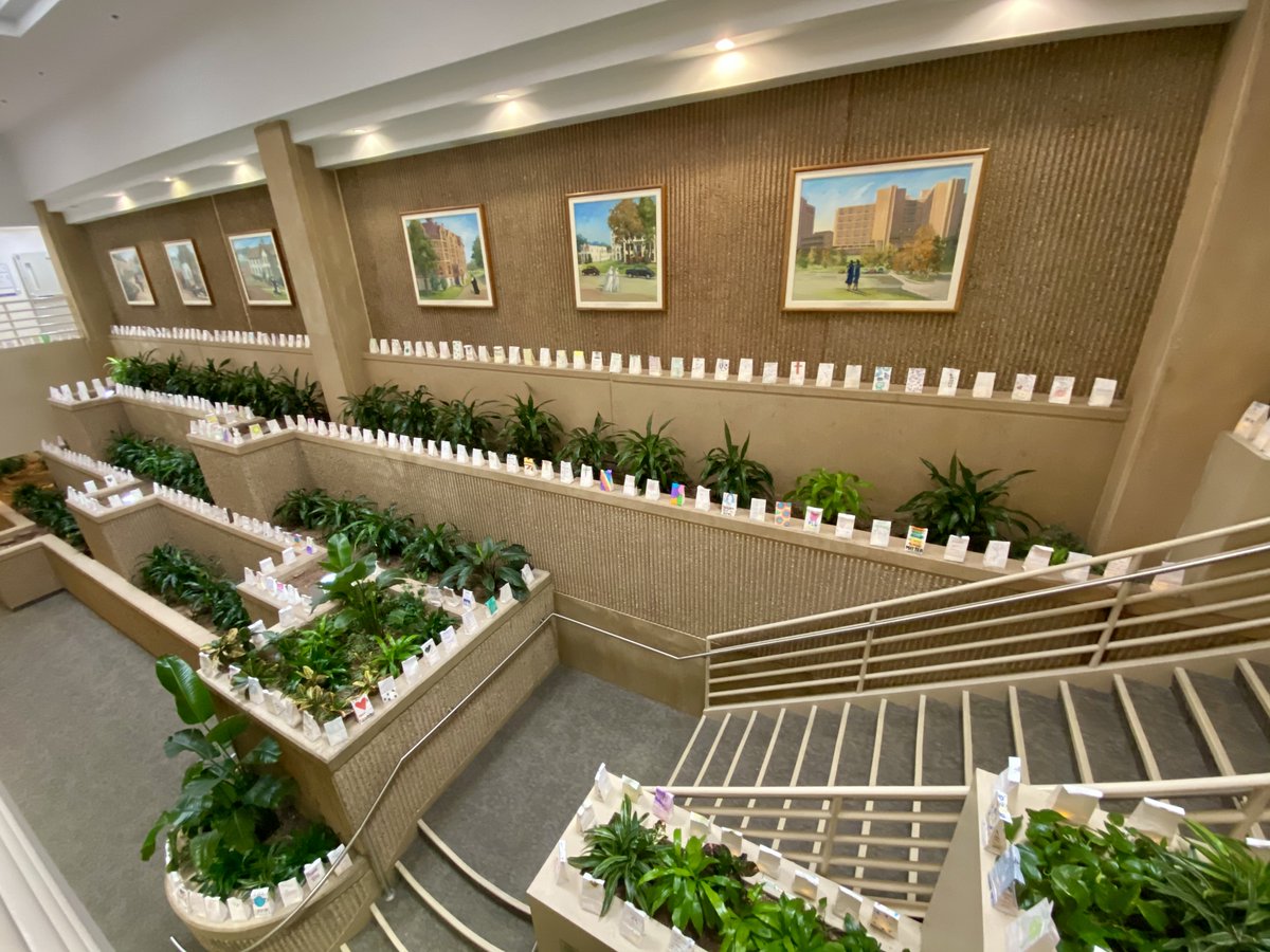 FollowMercy's tweet photo. One year ago this week, our lives would change in ways we couldn't imagine. Luminaries line the halls of #MercyOKC representing the COVID-19 patients we have served this year. Our prayers are with those patients, their families and our resilient co-workers. https://t.co/LGUjTQNMmi